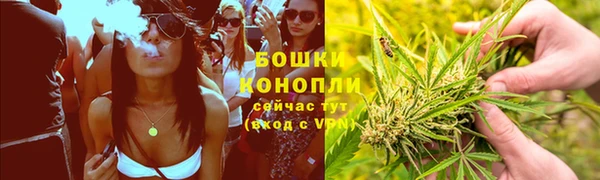 молекула духа Медногорск