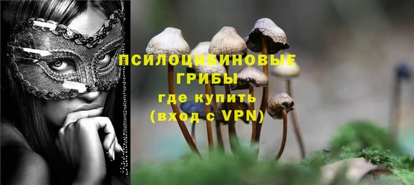 молекула духа Медногорск