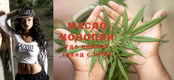 молекула духа Медногорск