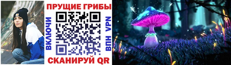 кракен   Староминская  Галлюциногенные грибы Psilocybine cubensis 